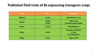 Published field trials of Bt-expressing transgenic crops
Crop Bt. Target pest
Tobacco Cry1A Heliothines, H. zea
Potato
Cry1A
Cry3A
Tuber moth
Colorado potato beetle
Cotton Cry1A Pink bollworm
Maize Cry1A
European cornborer
H. Zea
23 Lepidoptera
Poplar Cry1A Gypsy moth
25
 