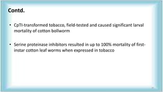 • CpTI-transformed tobacco, field-tested and caused significant larval
mortality of cotton bollworm
• Serine proteinase inhibitors resulted in up to 100% mortality of first-
instar cotton leaf worms when expressed in tobacco
Contd.
30
 