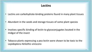 Lectins
• Lectins are carbohydrate-binding proteins found in many plant tissues
• Abundant in the seeds and storage tissues of some plant species
• Involves specific binding of lectin to glycoconjugates located in the
midgut of the insect
• Tobacco plants expressing a pea lectin were shown to be toxic to the
Lepidoptera Heliothis virescens
32
 