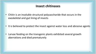 Insect chitinases
• Chitin is an insoluble structural polysaccharide that occurs in the
exoskeletal and gut lining of insects
• It is believed to protect the insect against water loss and abrasive agents
• Larvae feeding on the transgenic plants exhibited several growth
aberrations and died prematurely
33
 