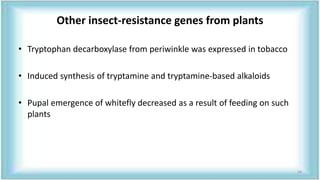 Other insect-resistance genes from plants
• Tryptophan decarboxylase from periwinkle was expressed in tobacco
• Induced synthesis of tryptamine and tryptamine-based alkaloids
• Pupal emergence of whitefly decreased as a result of feeding on such
plants
34
 