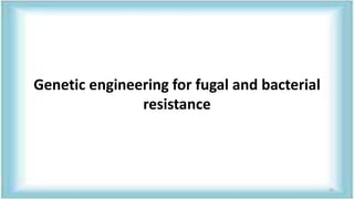 Genetic engineering for fugal and bacterial
resistance
35
 