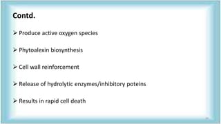 Contd.
 Produce active oxygen species
 Phytoalexin biosynthesis
 Cell wall reinforcement
 Release of hydrolytic enzymes/inhibitory poteins
 Results in rapid cell death
39
 