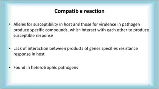 Compatible reaction
• Alleles for susceptibility in host and those for virulence in pathogen
produce specific compounds, which interact with each other to produce
susceptible response
• Lack of interaction between products of genes specifies resistance
response in host
• Found in heterotrophic pathogens
40
 