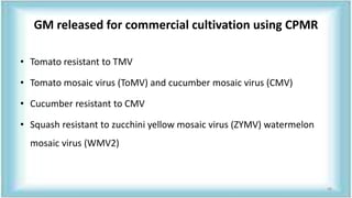 GM released for commercial cultivation using CPMR
• Tomato resistant to TMV
• Tomato mosaic virus (ToMV) and cucumber mosaic virus (CMV)
• Cucumber resistant to CMV
• Squash resistant to zucchini yellow mosaic virus (ZYMV) watermelon
mosaic virus (WMV2)
48
 