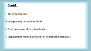 Contd.
• Three approaches:
 Incorporating Insensitive EPSPS
 Over expression of target molecules
 Incorporating molecules which can degrade the herbicides
5
 