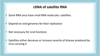 cDNA of satellite RNA
• Some RNA virus have small RNA molecules: satellites
• Depend on viral genomes for their replication
• Not necessary for viral functions
• Satellites either decrease or increase severity of disease produced by
virus carrying it
51
 