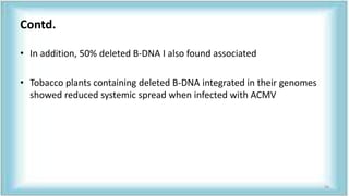 Contd.
• In addition, 50% deleted B-DNA I also found associated
• Tobacco plants containing deleted B-DNA integrated in their genomes
showed reduced systemic spread when infected with ACMV
54
 