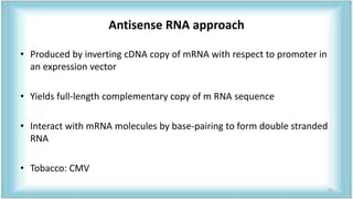 Antisense RNA approach
• Produced by inverting cDNA copy of mRNA with respect to promoter in
an expression vector
• Yields full-length complementary copy of m RNA sequence
• Interact with mRNA molecules by base-pairing to form double stranded
RNA
• Tobacco: CMV
55
 