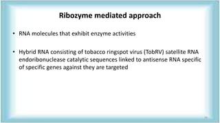 Ribozyme mediated approach
• RNA molecules that exhibit enzyme activities
• Hybrid RNA consisting of tobacco ringspot virus (TobRV) satellite RNA
endoribonuclease catalytic sequences linked to antisense RNA specific
of specific genes against they are targeted
56
 