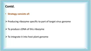 Contd.
• Strategy consists of:
 Producing ribozyme specific to part of target virus genome
 To produce cDNA of this ribozyme
 To integrate it into host plant genome
57
 