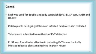 Contd.
• Leaf was used for double antibody sandwich (DAS) ELISA test, NASH and
RT-PCR
• Potato plants cv. Kufri Jyoti from an infected field were also collected
• Tubers were subjected to methods of PVY detection
• ELISA was found to be effective in detecting PVY in mechanically
infected tobacco plants maintained in green house
59
 
