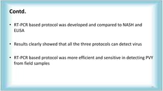 Contd.
• RT-PCR based protocol was developed and compared to NASH and
ELISA
• Results clearly showed that all the three protocols can detect virus
• RT-PCR based protocol was more efficient and sensitive in detecting PVY
from field samples
62
 