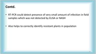 Contd.
• RT-PCR could detect presence of very small amount of infection in field
samples which was not detected by ELISA or NASH
• Also helps to correctly identify resistant plants in population
63
 