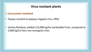 Virus resistant plants
 Coat protein mediated
• Papaya resistant to papaya ringspot virus, PRSV
• Variety Rainbow, yielded 112,000 kg/ha marketable fruits, compared to
5,600 kg/ha from non-transgenic lines
65
 