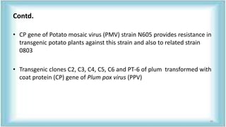Contd.
• CP gene of Potato mosaic virus (PMV) strain N605 provides resistance in
transgenic potato plants against this strain and also to related strain
0803
• Transgenic clones C2, C3, C4, C5, C6 and PT-6 of plum transformed with
coat protein (CP) gene of Plum pox virus (PPV)
66
 