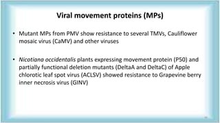 Viral movement proteins (MPs)
• Mutant MPs from PMV show resistance to several TMVs, Cauliflower
mosaic virus (CaMV) and other viruses
• Nicotiana occidentalis plants expressing movement protein (P50) and
partially functional deletion mutants (DeltaA and DeltaC) of Apple
chlorotic leaf spot virus (ACLSV) showed resistance to Grapevine berry
inner necrosis virus (GINV)
68
 