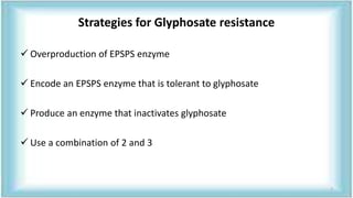 Strategies for Glyphosate resistance
 Overproduction of EPSPS enzyme
 Encode an EPSPS enzyme that is tolerant to glyphosate
 Produce an enzyme that inactivates glyphosate
 Use a combination of 2 and 3
7
 