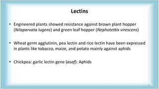 Lectins
• Engineered plants showed resistance against brown plant hopper
(Nilaparvata lugens) and green leaf hopper (Nephotettix virescens)
• Wheat germ agglutinin, pea lectin and rice lectin have been expressed
in plants like tobacco, maize, and potato mainly against aphids
• Chickpea: garlic lectin gene (asaf): Aphids
78
 