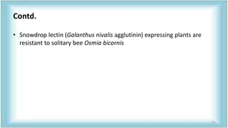 Contd.
• Snowdrop lectin (Galanthus nivalis agglutinin) expressing plants are
resistant to solitary bee Osmia bicornis
79
 