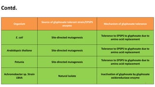 Organism
Source of glyphosate tolerant strain/EPSPS
enzyme
Mechanism of glyphosate tolerance
E. coli Site-directed mutagenesis
Tolerance to EPSPS to glyphosate due to
amino acid replacement
Arabidopsis thaliana Site-directed mutagenesis
Tolerance to EPSPS to glyphosate due to
amino acid replacement
Petunia Site-directed mutagenesis
Tolerance to EPSPS to glyphosate due to
amino acid replacement
Achromobacter sp. Strain
LBAA
Natural isolate
Inactivation of glyphosate by glyphosate
oxidoreductase enzyme
Contd.
9
 
