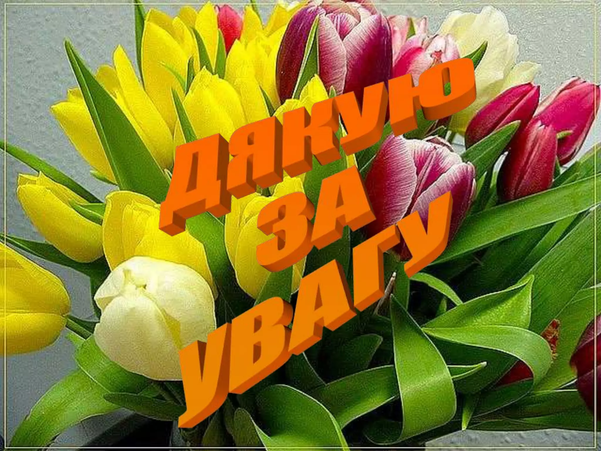 Організація навчально-пізнавальної діяльності