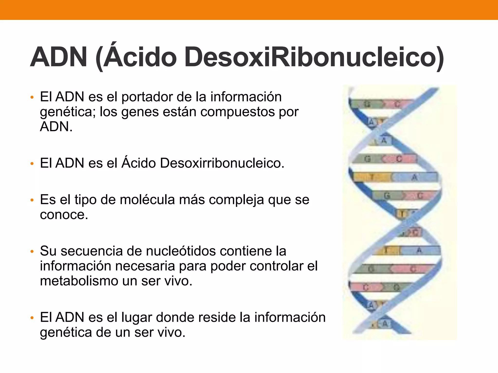 Biomoleculas: adn arn_atp | PPT