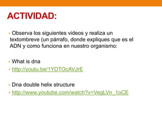 ACTIVIDAD:
• Observa los siguientes videos y realiza un
textombreve (un párrafo, donde expliques que es el
ADN y como funciona en nuestro organismo:
• What is dna
• http://youtu.be/1YDTOcAVJrE
• Dna double helix structure
• http://www.youtube.com/watch?v=VegLVn_1oCE
 