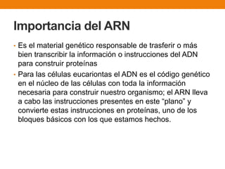Importancia del ARN
• Es el material genético responsable de trasferir o más
bien transcribir la información o instrucciones del ADN
para construir proteínas
• Para las células eucariontas el ADN es el código genético
en el núcleo de las células con toda la información
necesaria para construir nuestro organismo; el ARN lleva
a cabo las instrucciones presentes en este “plano” y
convierte estas instrucciones en proteínas, uno de los
bloques básicos con los que estamos hechos.
 