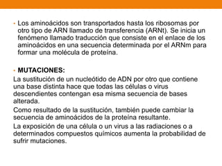 • Los aminoácidos son transportados hasta los ribosomas por
otro tipo de ARN llamado de transferencia (ARNt). Se inicia un
fenómeno llamado traducción que consiste en el enlace de los
aminoácidos en una secuencia determinada por el ARNm para
formar una molécula de proteína.
• MUTACIONES:
La sustitución de un nucleótido de ADN por otro que contiene
una base distinta hace que todas las células o virus
descendientes contengan esa misma secuencia de bases
alterada.
Como resultado de la sustitución, también puede cambiar la
secuencia de aminoácidos de la proteína resultante.
La exposición de una célula o un virus a las radiaciones o a
determinados compuestos químicos aumenta la probabilidad de
sufrir mutaciones.
 