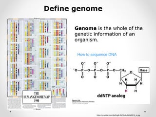 Define genome
Genome is the whole of the
genetic information of an
organism.
How to sequence DNA
https://o.quizlet.com/5jzEdgB-Rd7KvAiJMNbRFQ_m.jpg
 
