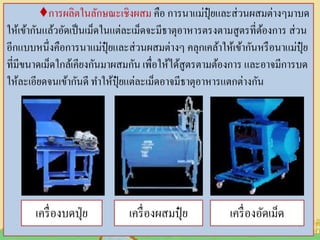 ♦การผลิตในลักษณะเชิงผสม คือ การนาแม่ปุ๋ ยและส่วนผสมต่างๆมาบด
ให้เข้ากันแล้วอัดเป็นเม็ดในแต่ละเม็ดจะมีธาตุอาหารตรงตามสูตรที่ต้องการ ส่วน
อีกแบบหนึ่งคือการนาแม่ปุ๋ ยและส่วนผสมต่างๆ คลุกเคล้าให้เข้ากันหรือนาแม่ปุ๋ ย
ที่มีขนาดเม็ดใกล้เคียงกันมาผสมกัน เพื่อให้ได้สูตรตามต้องการ และอาจมีการบด
ให้ละเอียดจนเข้ากันดี ทาให้ปุ๋ ยแต่ละเม็ดอาจมีธาตุอาหารแตกต่างกัน
เครื่องบดปุ่ย เครื่องผสมปุ๋ ย เครื่องอัดเม็ด
 