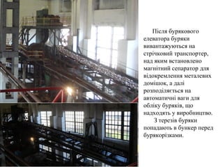 Після бурякового
елеватора буряки
вивантажуються на
стрічковий транспортер,
над яким встановлено
магнітний сепаратор для
відокремлення металевих
домішок, а далі
розподіляється на
автоматичні ваги для
обліку буряків, що
надходять у виробництво.
З терезів буряки
попадають в бункер перед
бурякорізками.
 