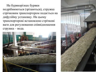 11
На бурякорізках буряки
подрібнюються (зрізаються), стружка
стрічковим транспортером подається на
дифузійну установку. На цьому
транспортерові встановлено стрічкові
ваги для регулювання співвідношення
стружка – вода.
 