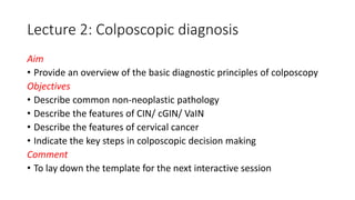 Lecture 2: Colposcopic diagnosis
Aim
• Provide an overview of the basic diagnostic principles of colposcopy
Objectives
• Describe common non-neoplastic pathology
• Describe the features of CIN/ cGIN/ VaIN
• Describe the features of cervical cancer
• Indicate the key steps in colposcopic decision making
Comment
• To lay down the template for the next interactive session
 