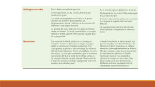 Auscultación cardíaca