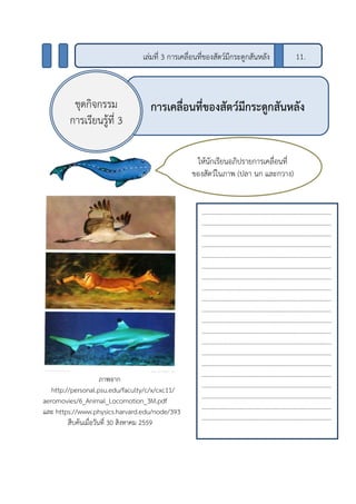 ภาพจาก
http://personal.psu.edu/faculty/c/x/cxc11/
aeromovies/6_Animal_Locomotion_3M.pdf
และ https://www.physics.harvard.edu/node/393
สืบค้นเมื่อวันที่ 30 สิงหาคม 2559
การเคลื่อนที่ของสัตว์มีกระดูกสันหลังชุดกิจกรรม
การเรียนรู้ที่ 3
เล่มที่ 3 การเคลื่อนที่ของสัตว์มีกระดูกสันหลัง 11.
....................................................................................
....................................................................................
....................................................................................
....................................................................................
....................................................................................
....................................................................................
....................................................................................
....................................................................................
....................................................................................
....................................................................................
....................................................................................
....................................................................................
....................................................................................
....................................................................................
....................................................................................
....................................................................................
....................................................................................
....................................................................................
....................................................................................
....................................................................................
ให้นักเรียนอภิปรายการเคลื่อนที่
ของสัตว์ในภาพ (ปลา นก และกวาง)
 