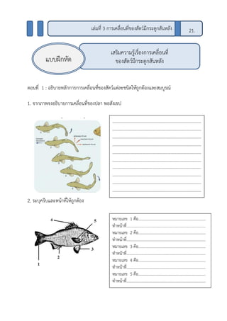 ตอนที่ 1 : อธิบายหลักการการเคลื่อนที่ของสัตว์แต่ละชนิดให้ถูกต้องและสมบูรณ์
1. จากภาพจงอธิบายการเคลื่อนที่ของปลา พอสังเขป
2. ระบุครีบและหน้าที่ให้ถูกต้อง
เสริมความรู้เรื่องการเคลื่อนที่
ของสัตว์มีกระดูกสันหลังแบบฝึกหัด
21.เล่มที่ 3 การเคลื่อนที่ของสัตว์มีกระดูกสันหลัง
หมายเลข 1 คือ……………………………………………………………
ทาหน้าที่………………………………………………………………………
หมายเลข 2 คือ……………………………………………………………
ทาหน้าที่………………………………………………………………………
หมายเลข 3 คือ……………………………………………………………
ทาหน้าที่………………………………………………………………………
หมายเลข 4 คือ……………………………………………………………
ทาหน้าที่………………………………………………………………………
หมายเลข 5 คือ……………………………………………………………
ทาหน้าที่………………………………………………………………………
………………………………………………………………………
………………………………………………………………………
………………………………………………………………………
………………………………………………………………………
………………………………………………………………………
………………………………………………………………………
……………………………………………………………………………....
………………………………………………………………………
………………………………………………………………………
………………………………………………………………………
………………………………………………………………………
 