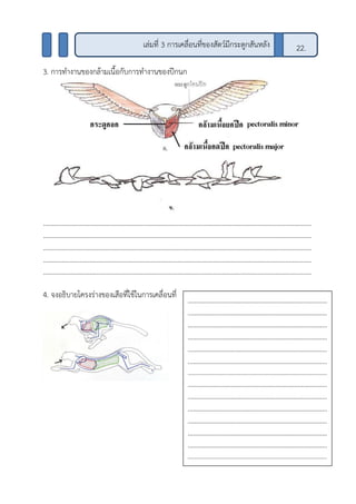 3. การทางานของกล้ามเนื้อกับการทางานของปีกนก
…………………………………………………………………………………………………………………………………………
…………………………………………………………………………………………………………………………………………
…………………………………………………………………………………………………………………………………………
…………………………………………………………………………………………………………………………………………
…………………………………………………………………………………………………………………………………………
4. จงอธิบายโครงร่างของเสือที่ใช้ในการเคลื่อนที่
22.เล่มที่ 3 การเคลื่อนที่ของสัตว์มีกระดูกสันหลัง
………………………………………………………………………
………………………………………………………………………
………………………………………………………………………
………………………………………………………………………
………………………………………………………………………
………………………………………………………………………
……………………………………………………………………………....
………………………………………………………………………
………………………………………………………………………
………………………………………………………………………
………………………………………………………………………
………………………………………………………………………
………………………………………………………………………
……………………………………………………………………………....
 