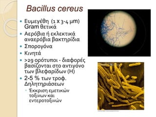 Bacillus cereus
 Ευμεγέθη (1 x 3-4 µm)
Gram θετικά
 Αερόβια ή εκλεκτικά
αναερόβια βακτηρίδια
 Σπορογόνα
 Κινητά
 >29 ορότυποι - διαφορές
βασίζονται στο αντιγόνο
των βλεφαρίδων (Η)
 2-5 % των τροφ.
Δηλητηριάσεων
◦ Έκκριση εμετικών
τοξινων και
εντεροτοξινών
 
