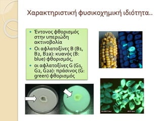 Χαρακτηριστική φυσικοχημική ιδιότητα..
 Έντονος φθορισμός
στην υπεριώδη
ακτινοβολία
 Οι αφλατοξίνες B (B1,
B2, B2a): κυανός (B:
blue) φθορισμός,
 οι αφλατοξίνες G (G1,
G2, G2a): πράσινος (G:
green) φθορισμός
 