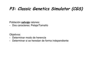 Genetic Coding Simulator Classic Genetics Simulator | PDF