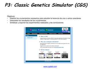 Genetic Coding Simulator Classic Genetics Simulator | PDF