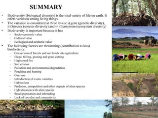 Threats to Biodiversity | PPT