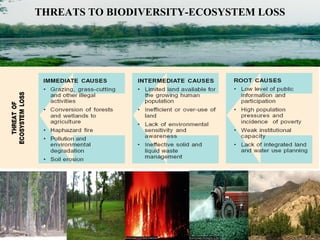 Threats to Biodiversity | PPT