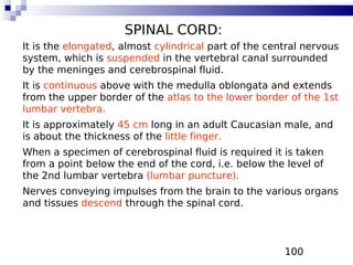 100
SPINAL CORD:
It is the elongated, almost cylindrical part of the central nervous
system, which is suspended in the vertebral canal surrounded
by the meninges and cerebrospinal fluid.
It is continuous above with the medulla oblongata and extends
from the upper border of the atlas to the lower border of the 1st
lumbar vertebra.
It is approximately 45 cm long in an adult Caucasian male, and
is about the thickness of the little finger.
When a specimen of cerebrospinal fluid is required it is taken
from a point below the end of the cord, i.e. below the level of
the 2nd lumbar vertebra (lumbar puncture).
Nerves conveying impulses from the brain to the various organs
and tissues descend through the spinal cord.
 