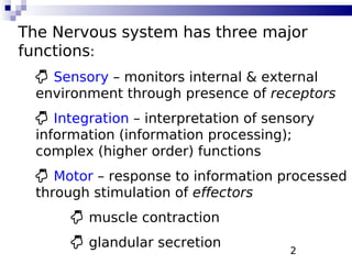 2
The Nervous system has three major
functions:
 Sensory – monitors internal & external
environment through presence of receptors
 Integration – interpretation of sensory
information (information processing);
complex (higher order) functions
 Motor – response to information processed
through stimulation of effectors
 muscle contraction
 glandular secretion
 