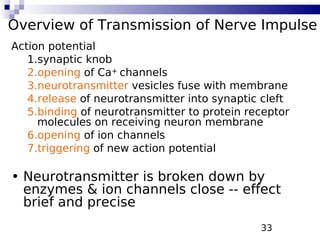 33
Overview of Transmission of Nerve Impulse
Action potential
1.synaptic knob
2.opening of Ca+ channels
3.neurotransmitter vesicles fuse with membrane
4.release of neurotransmitter into synaptic cleft
5.binding of neurotransmitter to protein receptor
molecules on receiving neuron membrane
6.opening of ion channels
7.triggering of new action potential
• Neurotransmitter is broken down by
enzymes & ion channels close -- effect
brief and precise
 