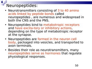 50
Neuropeptides:
• Neurotransmitters consisting of 3 to 40 amino
acids linked by peptide bonds called
neuropeptides , are numerous and widespread in
both the CNS and the PNS.
• Neuropeptides bind to metabotropic receptors
and have excita-tory or inhibitory actions,
depending on the type of metabotropic receptor
at the synapse.
• Neuropeptides are formed in the neuron cell
body, packaged into vesicles, and transported to
axon terminals.
• Besides their role as neurotransmitters, many
neuropeptides serve as hormones that regulate
physiological responses.
 