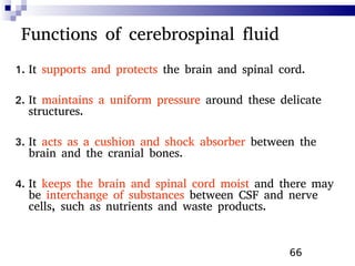 66
Functions of cerebrospinal fluid
1. It supports and protects the brain and spinal cord.
2. It maintains a uniform pressure around these delicate
structures.
3. It acts as a cushion and shock absorber between the
brain and the cranial bones.
4. It keeps the brain and spinal cord moist and there may
be interchange of substances between CSF and nerve
cells, such as nutrients and waste products.
 
